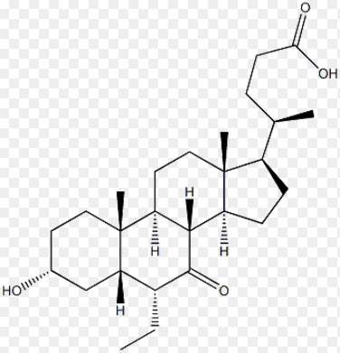 (3α,5β,6α)-6-ethyl-3-hydroxy-7-oxo-cholan-24-oic acid methyl ester